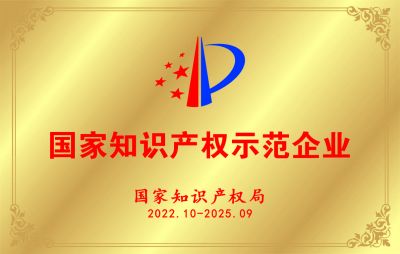 國(guó)家知識(shí)產(chǎn)權(quán)示范企業(yè)